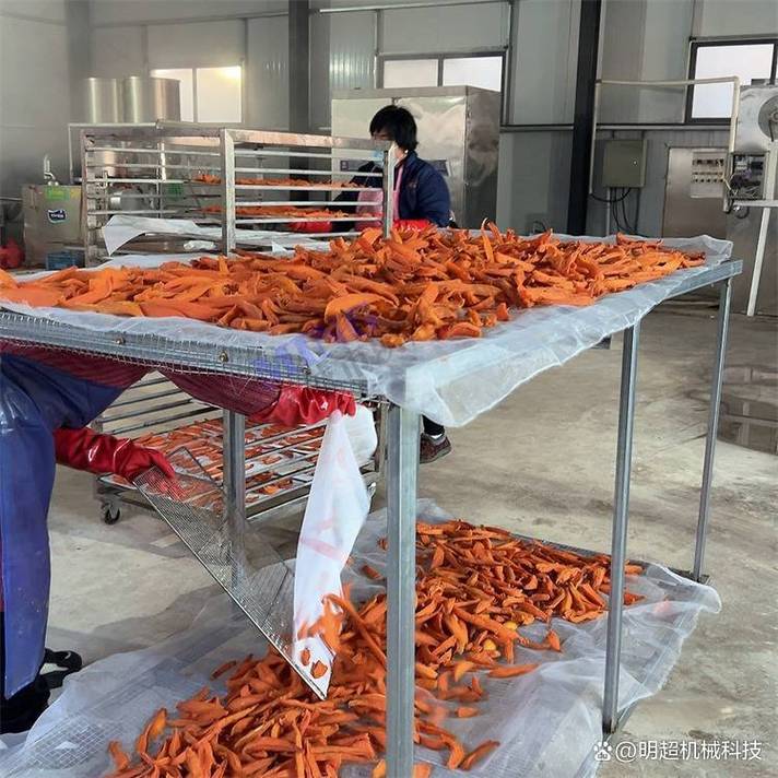 红薯干烘干设备制造厂