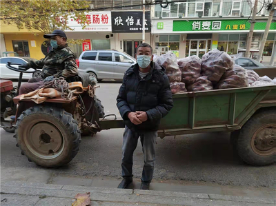 西华农户红薯滞销 千名党员帮销助农